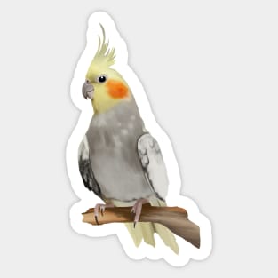 Cute Cockatiel Parrot Sticker